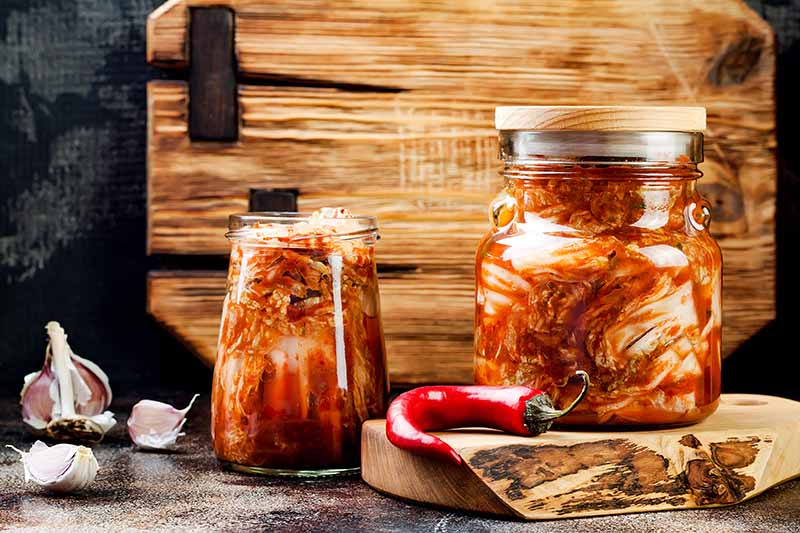 A close up horizontal image of cabbage kimchi in glass jars set on a kitchen counter.
