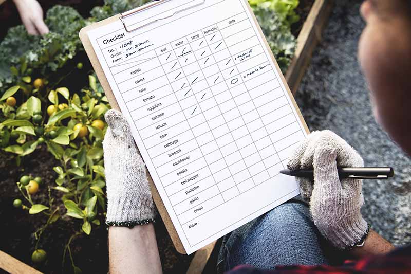 A close up horizontal image of a gardener using a checklist to plan their vegetable patch.