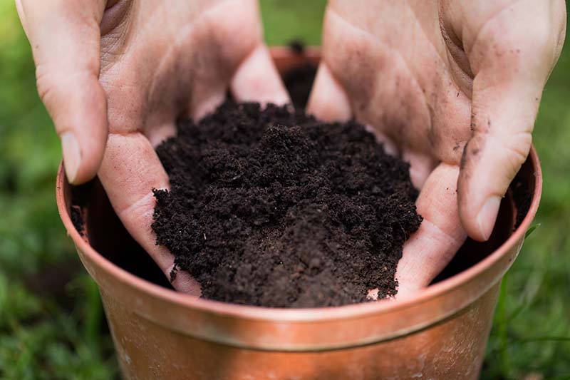 A close up horizontal image of two hands scooping dark rich potting soil into a plastic container.