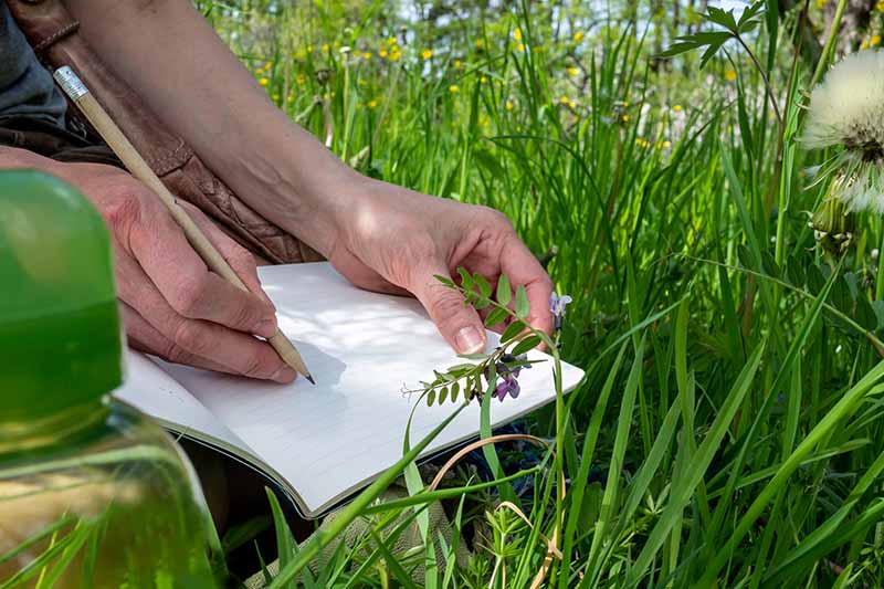 A close up horizontal image of a gardener sitting in the grass using a pencil to write in a journal.