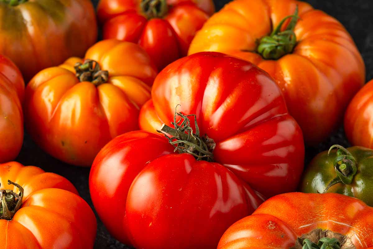 II. Benefits of Using Beefsteak Tomatoes in Sandwiches