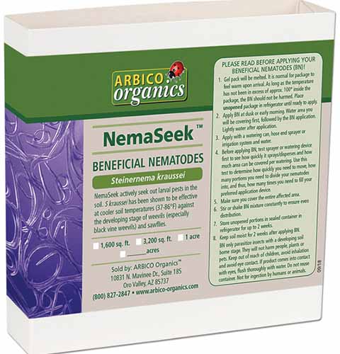 A close up square image of the packaging of NemaSeek Beneficial Nematodes isolated on a white background.