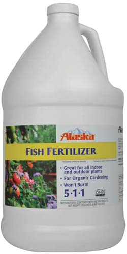 A close up vertical image of a bottle of Alaska Fish Fertilizer isolated on a white background.