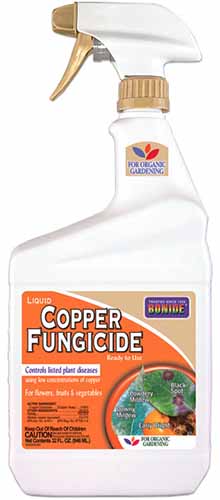 A close up vertical image of a bottle of Bonide Copper Fungicide spray isolated on a white background.