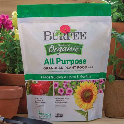 A close up square image of a bag of Burpee All Purpose Granular Plant Food set on a wooden surface with plants in the background.