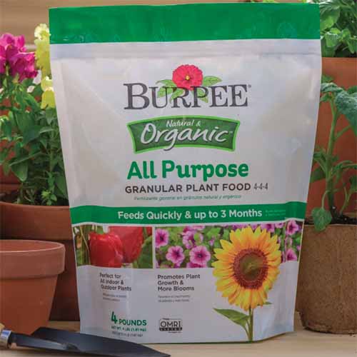 A close up square image of a packet of Burpee Organic All Purpose Plant Food set on a wooden surface.