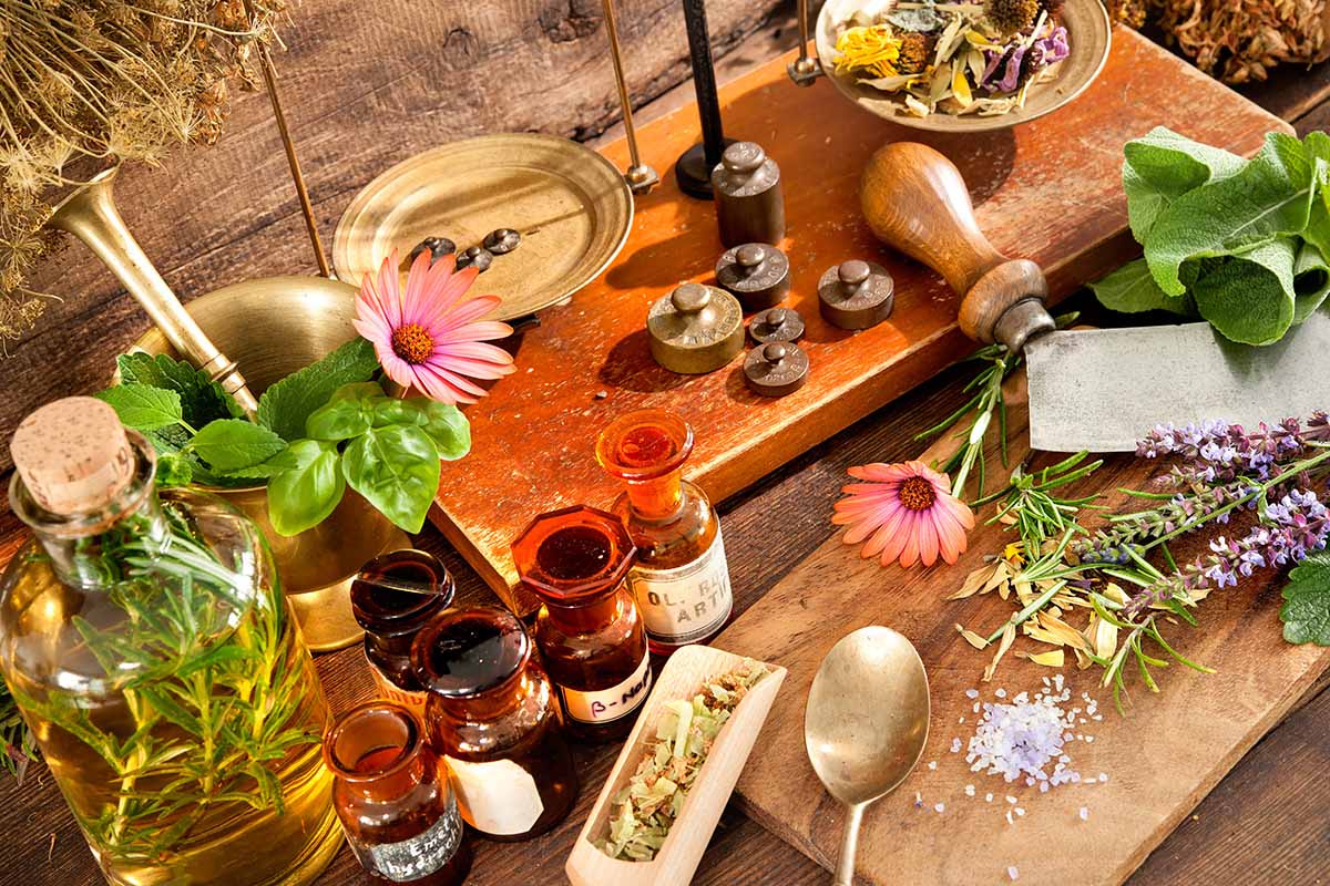 A close up horizontal image of herbs, tinctures, and tools in a herbal apothecary.