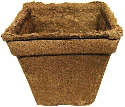 A close up square image of a CowPot, a biodegradable seed starting pot made from cow manure.