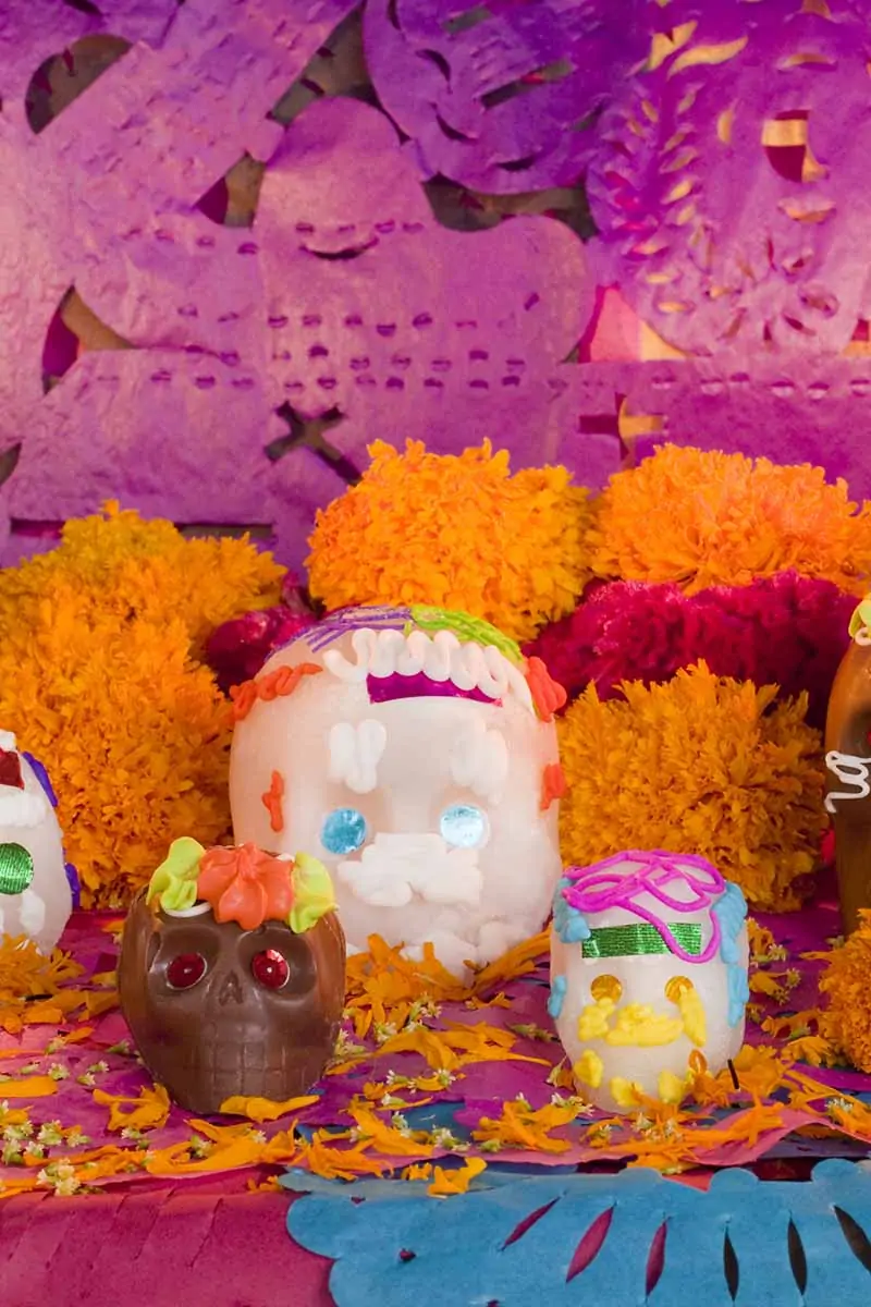A close up vertical image of a Day of the Dead altar with marigolds and decorated model skulls.