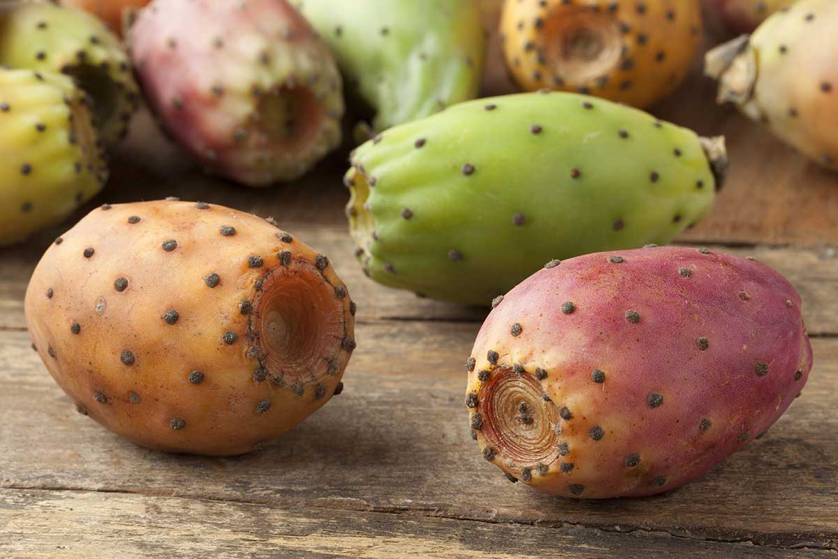 A close up horizontal image of freshly harvested prickly pears set on a wooden surface.