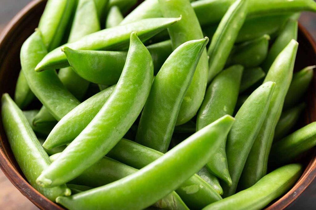 A close up horizontal image of freshly harvested sugar snaps in a brown bowl.