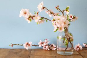 A close up horizontal image of spring blossoms in a vase indoors.