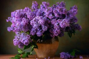 A close up horizontal image of a bouquet of purple lilacs in a vase indoors.