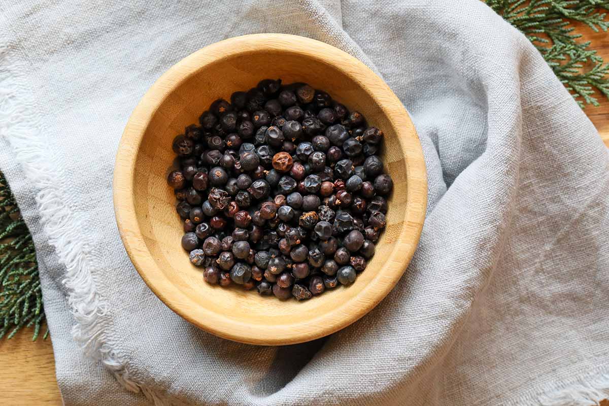 A close up horizontal image of a small bowl filled with juniper berries.