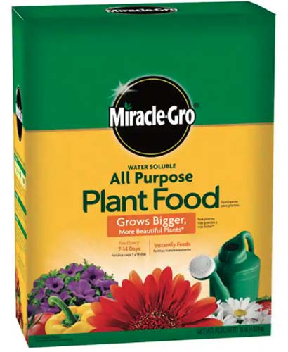 A close up square image of a box of Miracle-Gro All Purpose Plant Food isolated on a white background.