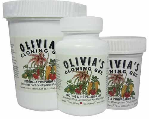 A close up square image of three bottles of Olivia's Cloning Gel isolated on a white background.