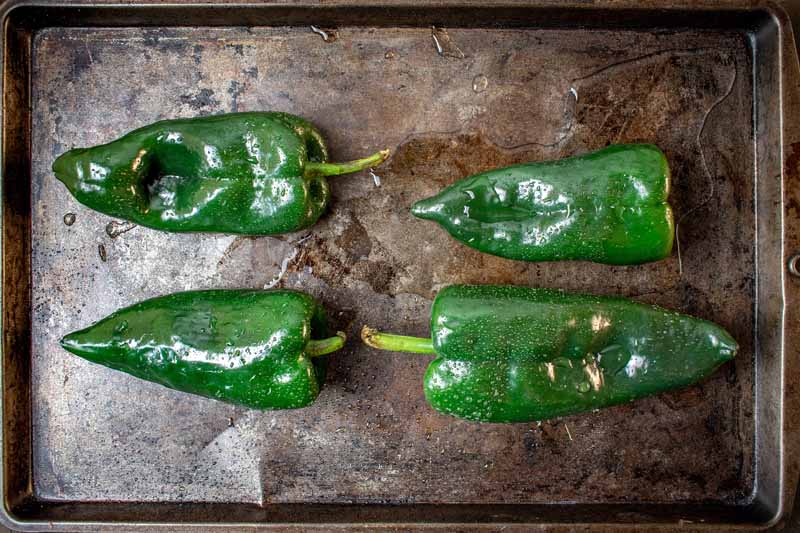 A close up horizontal image of green poblano peppers drizzled with oil on a baking pan ready for roasting.
