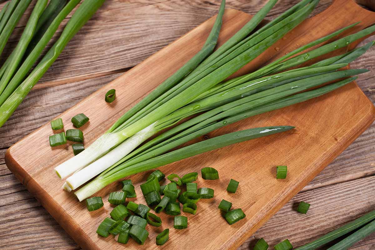 A close up horizontal image of a bunch of scallions on a wooden chopping board set on a wooden table.