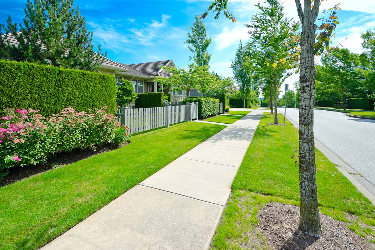 A horizontal image of a neat sidewalk with lawns and formal plantings.