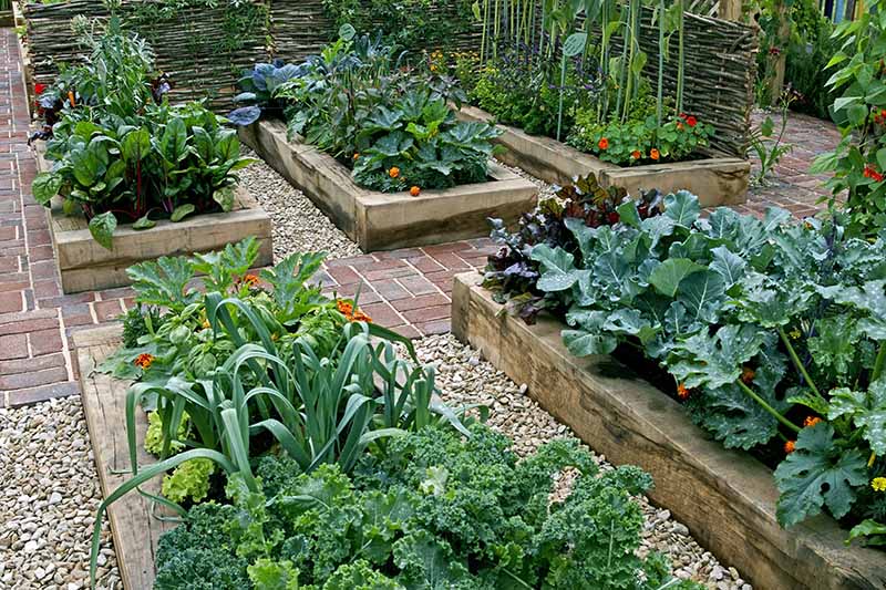 A horizontal image of a neat backyard garden using raised beds separated by gravel and brick pathways.