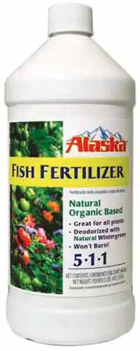 A close up vertical image of a bottle of Alaska Fish Fertilizer isolated on a white background.