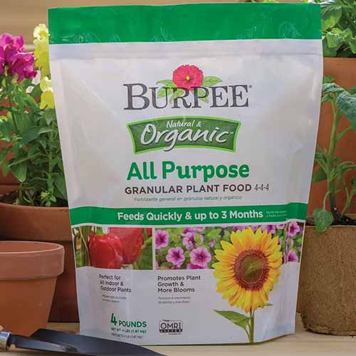 A close up square image of a bag of Burpee All Purpose Granular Plant Food set on a wooden surface.