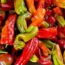 How to Plant and Grow Anaheim Peppers | Gardener’s Path