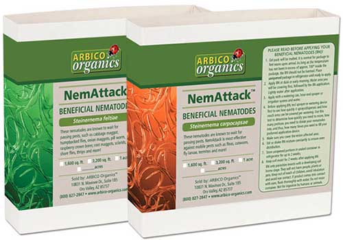 A close up horizontal image of two packages of NemAttack beneficial nematodes isolated on a white background.
