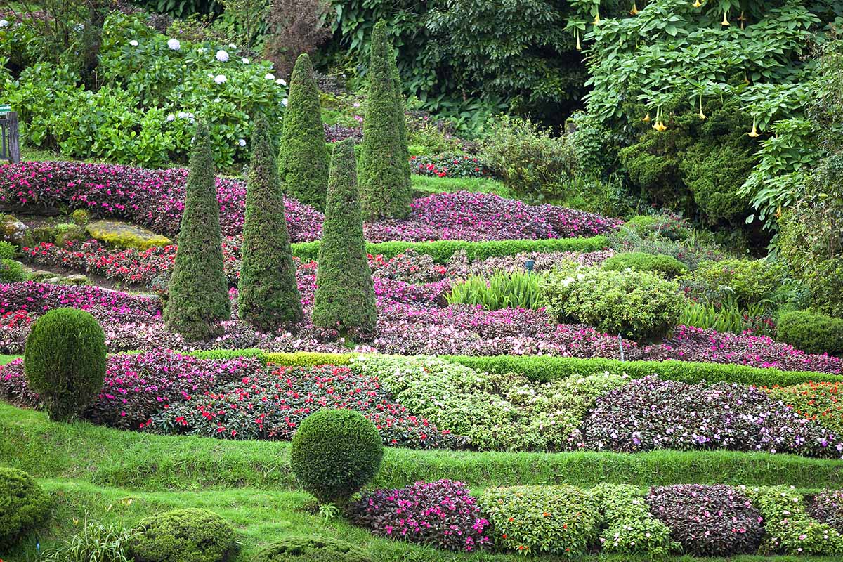 A horizontal image of a formal garden with large swaths of mass-planted flowers featuring upright specimens for texture and height.