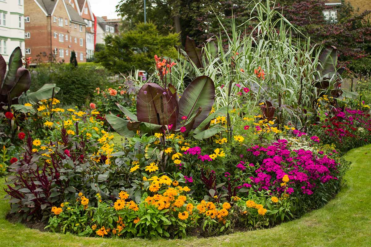 A horizontal image of a colorful flower bed planted with a variety of annuals and perennials.