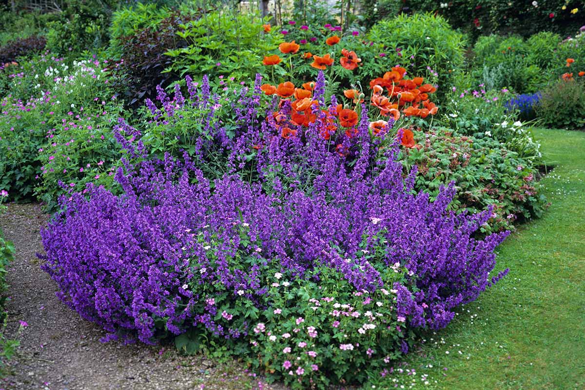 A horizontal image of a colorful flower bed in a formal garden.