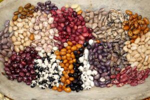 A close up horizontal image of different types of beans set in a wooden bowl.