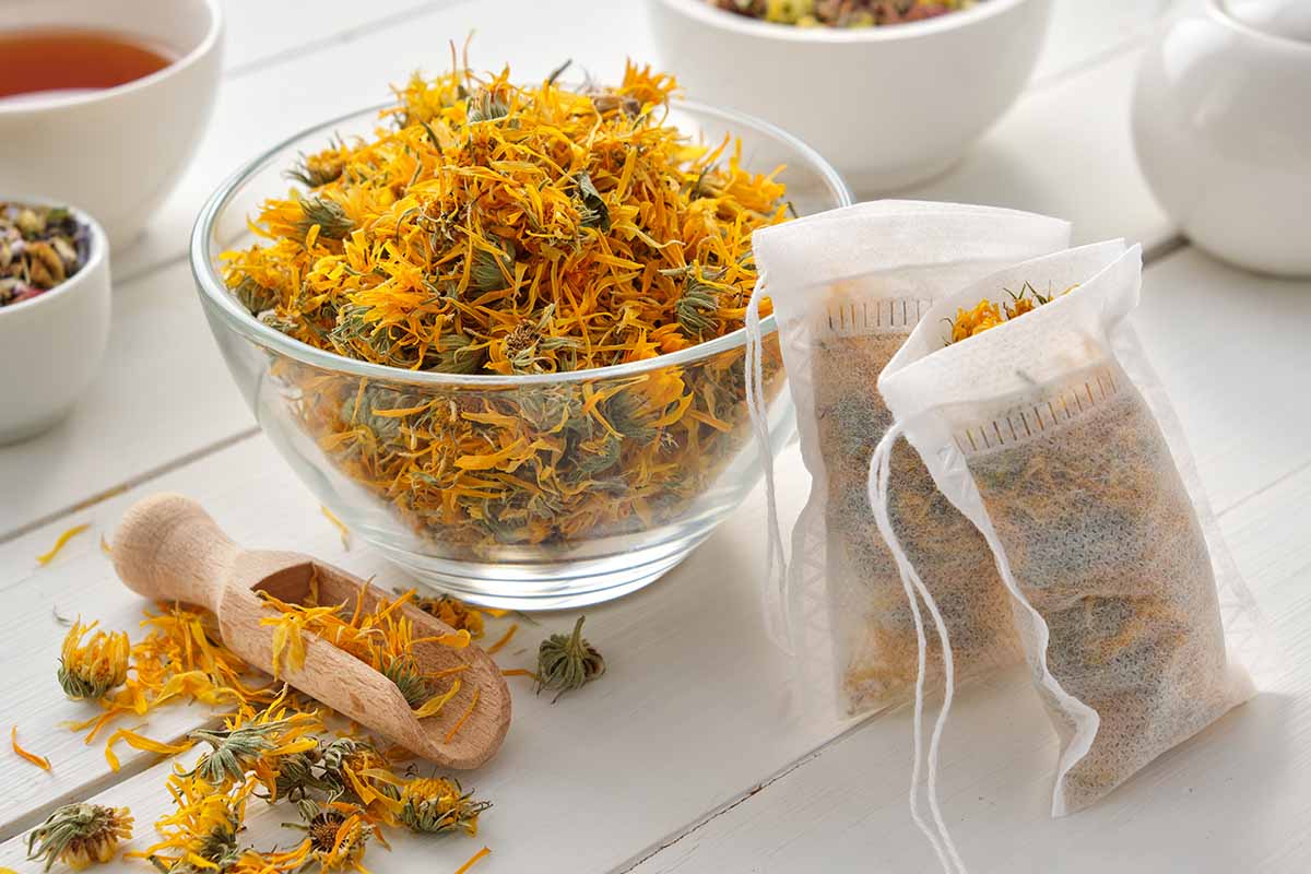 A close up horizontal image of dried marigold flowers in a glass bowl with tea bags set on a white wooden surface.