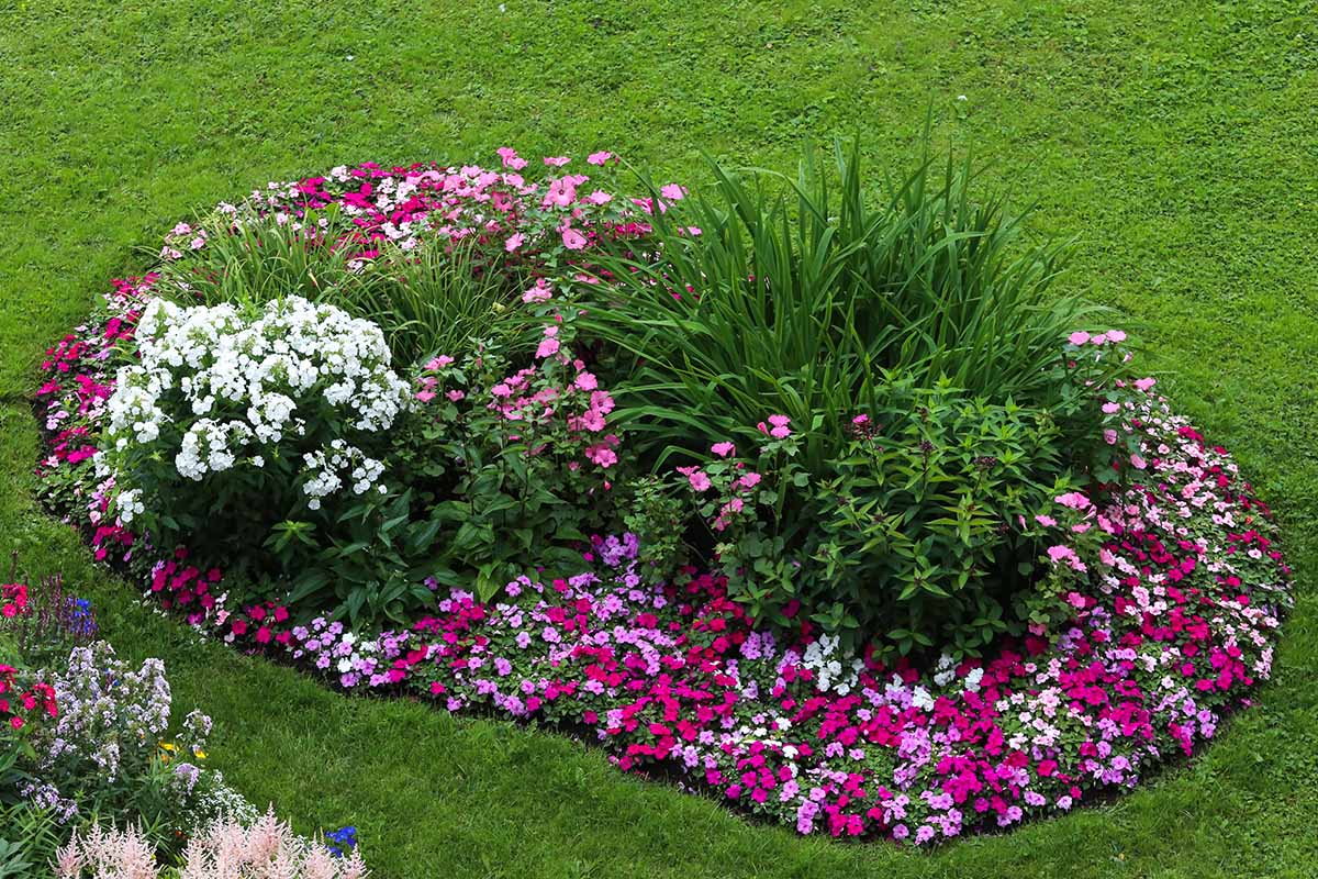 A horizontal image of a colorful flower bed in the middle of a lawn.