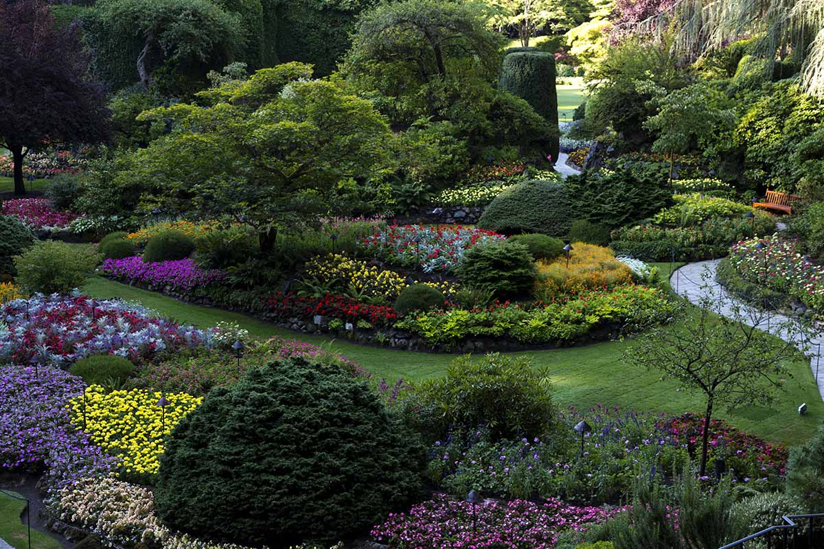 A horizontal image of a formal garden with mass-planted flowers and pathways through it.