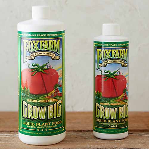 A close up square image of two bottles of Fox Farm Grow Big Liquid Plant Food set on a wooden surface.