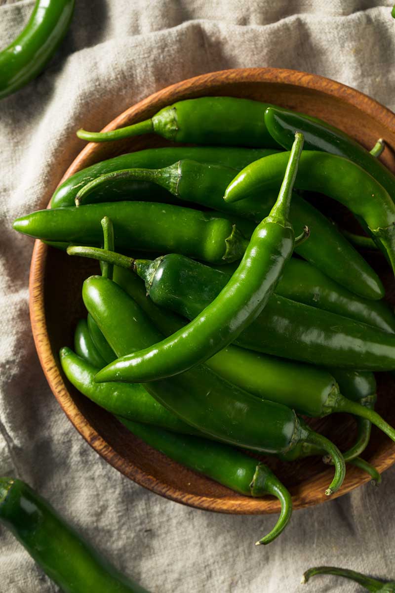 A close up vertical image of freshly harvested green serrano peppers set in a wooden bowl.