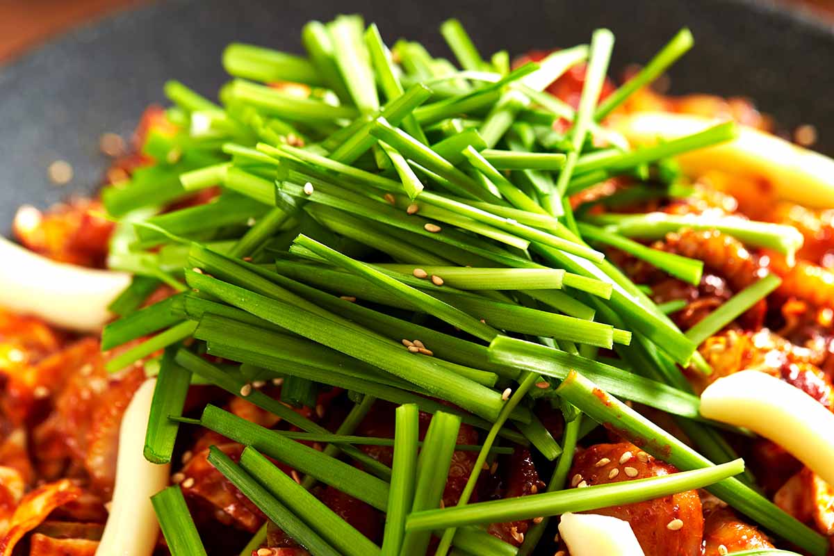 A close up horizontal image of garlic chives used as a garnish on a sweet and sour chicken dish.