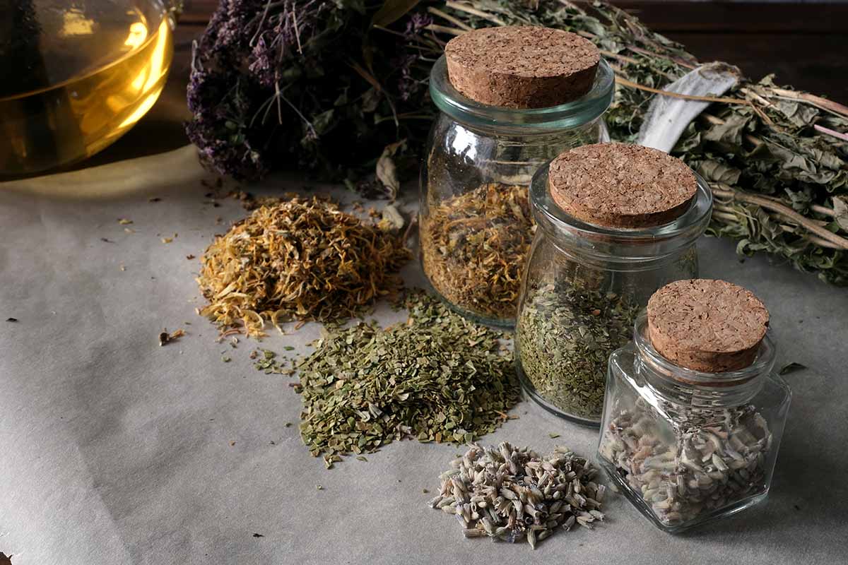 A close up horizontal image of jars of dried herbs with little piles beside them.