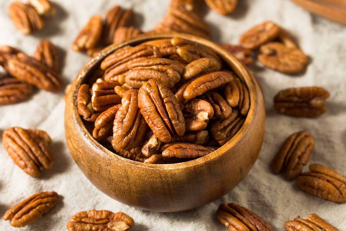 A close up square image of a wooden bowl filled with shelled pecan nuts.