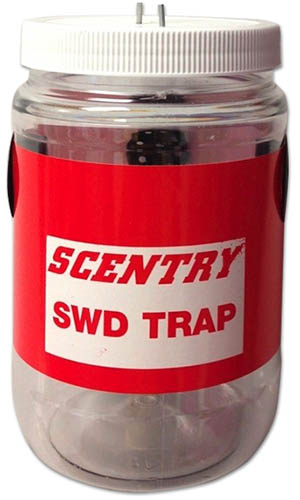 A close up square image of a scentry SWD trap isolated on a white background.