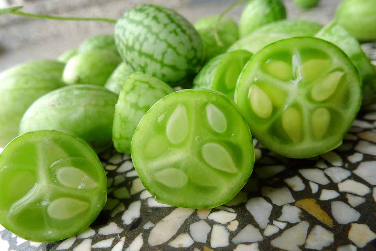 A close up horizontal image of whole and sliced fresh cucamelons.