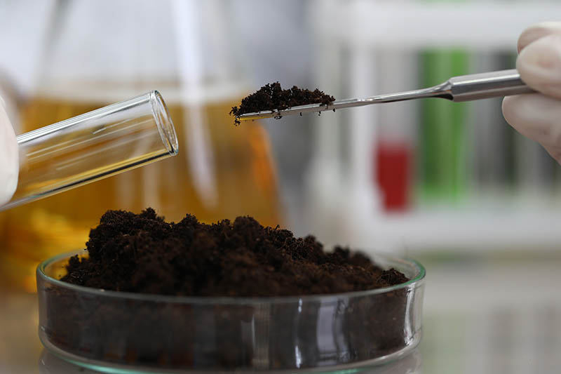 A close up horizontal image of a lab technician's hands taking a small sample of soil and placing it in a test tube for analysis.