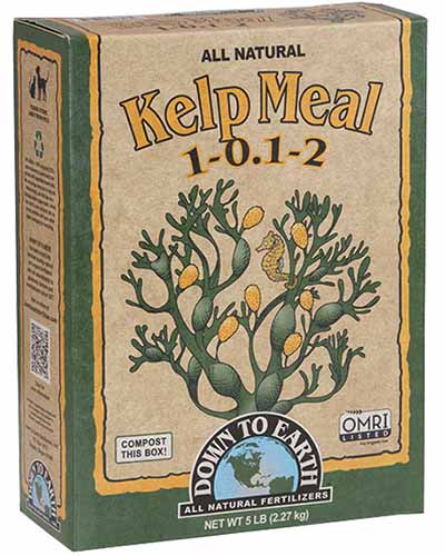 A close up square image of the packaging of Down to Earth Kelp Meal isolated on a white background.