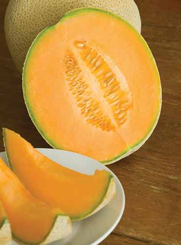 A close up vertical image of a 'Hale's Best Jumbo' melon cut in half and sliced, set on a wooden surface.