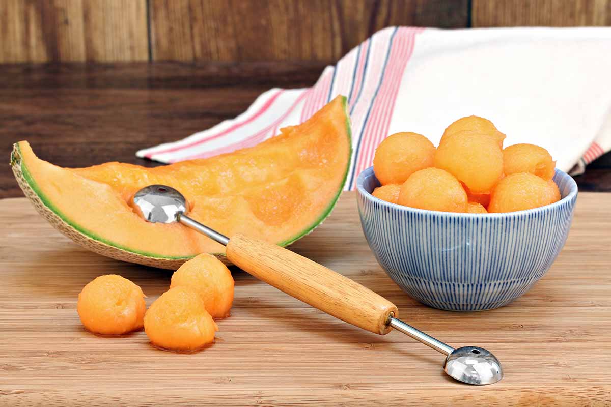 A close up horizontal image of a slice of a muskmelon with a bowl filled with melon balls set on a wooden surface.