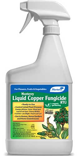 A close up vertical image of a bottle of Monterey Liquid Copper Fungicide isolated on a white background.