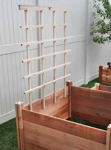 A vertical image of a wooden trellis attached to a raised garden bed.