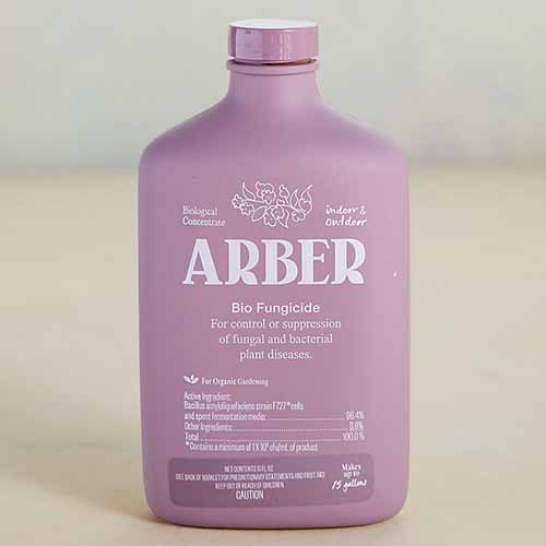 A close up square image of a bottle of Arber Biofungicide on a soft focus background.