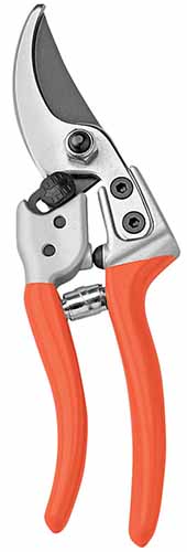 A close up of a pair of bypass pruners isolated on the white background.